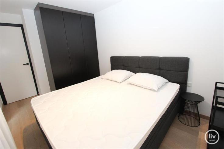 Appartement Spacieux A Knokke Екстер'єр фото
